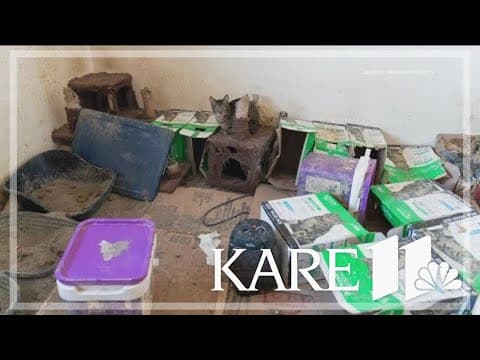 Woman charged after police pull 124 cats from home in Crystal