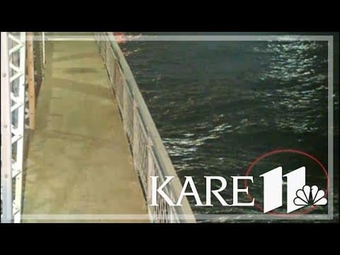 Dog rescued from frigid Lake Superior