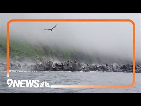 How tsunami waves form