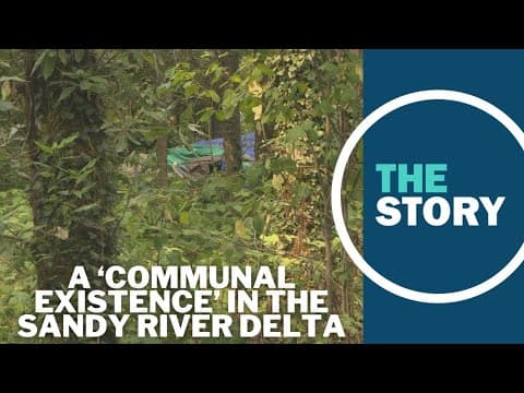 Nestled in the woods just outside of Portland, homeless camps resist state attempts to clear them