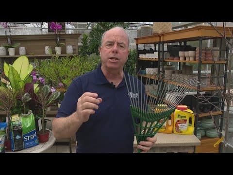 Do's and don'ts for spring lawn care