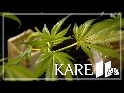 Rise Dispensaries launch recreational products in five Minnesota cities