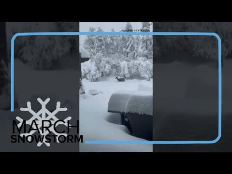 Deer walks through snow during Colorado snowstorm