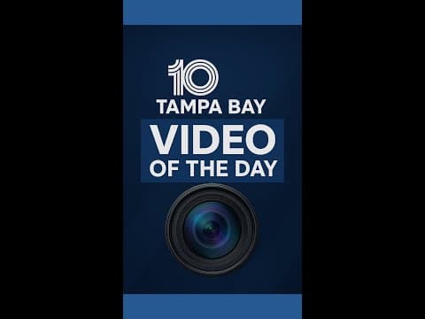 Bus driver rescues boy wandering in Hillsborough County road