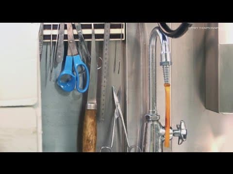 Former Ramsey Co. medical examiner's testimonies under review