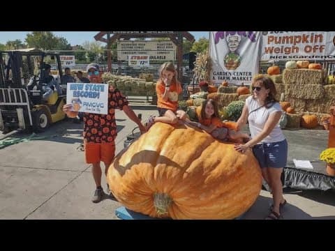 Colorado firefighter grows state's first 1-ton pumpkin