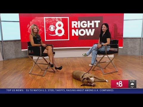 Nonprofit saves veterans, rescue dogs — one life at a time