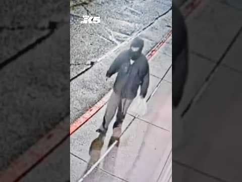 FBI searching for suspect in Tesla station explosion