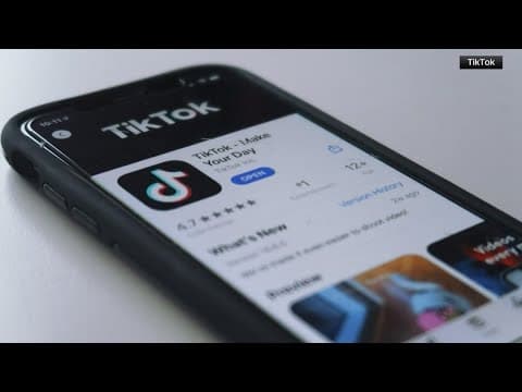 TikTok's attempt to block law that would ban it is denied, here's what that means