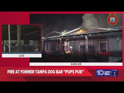 Fire breaks out at what appears to be a now-closed Tampa dog bar