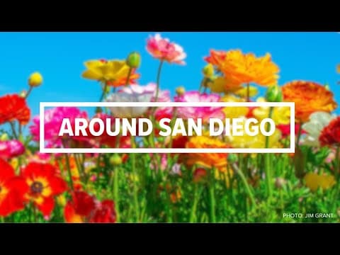 Around San Diego | The biggest stories of the past week (May 8)