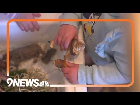 Weld County joining other counties in freezing enrollment for childcare assistance