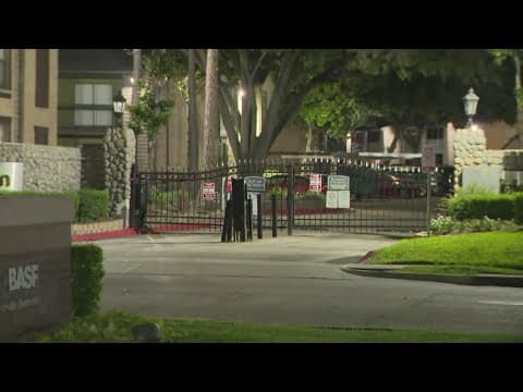 Houston police investigate death of child found in pool after midnight