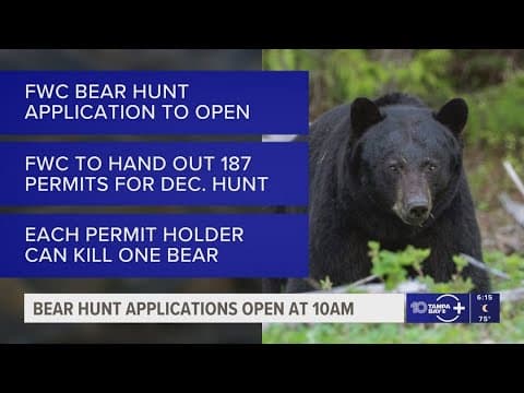 Applications for Florida's bear hunting season open