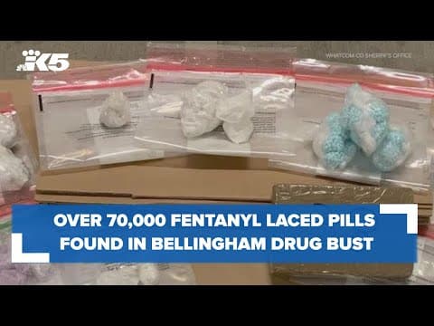 Deputies find over 70,000 suspected fentanyl-laced pills in massive drug bust in Bellingham
