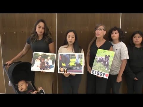 California animal trainer charged after 11 dogs die in his care