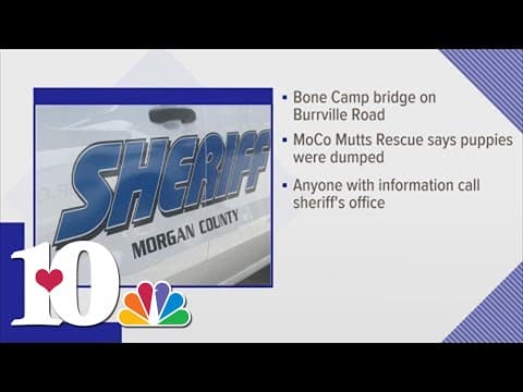 MCSO investigating animal cruelty case