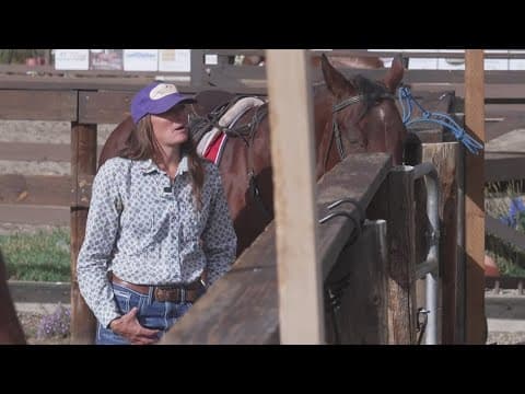 Growing horse rescue in Summit County looking to expand community programs