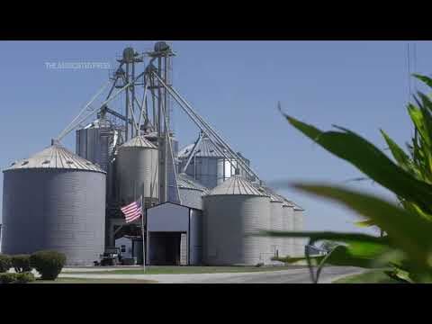 Donald Trump's trade battle with China puts American soybean farmers in peril