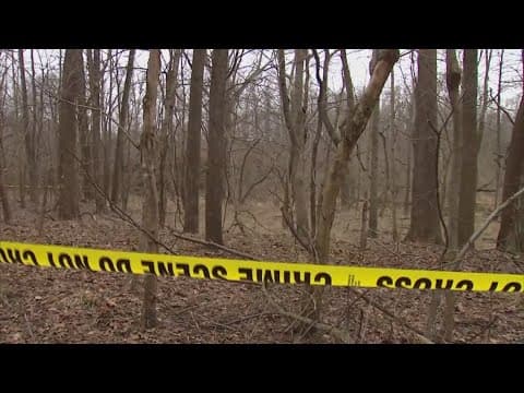 Delphi murders trial: New digital data discussed