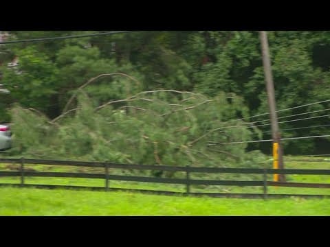Tree and wires down during storms in Fairfax County