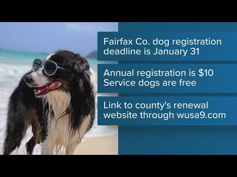 Fairfax County dog owners must register pets by Jan. 31
