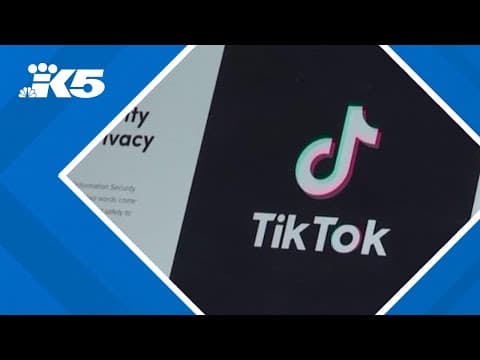 TikTok back online after brief shutdown in the United States; Trump promises to delay app's ban