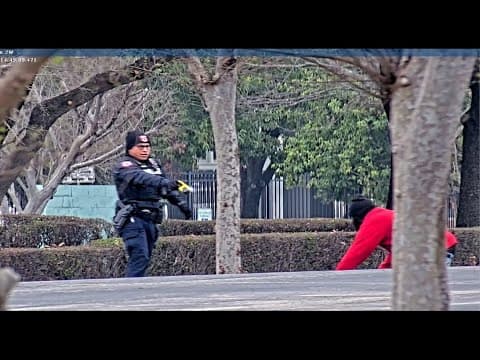 Surveillance video shows the moment the UH sexual assault suspect was arrested