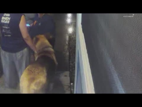 3 charged after animals found in U-Haul truck