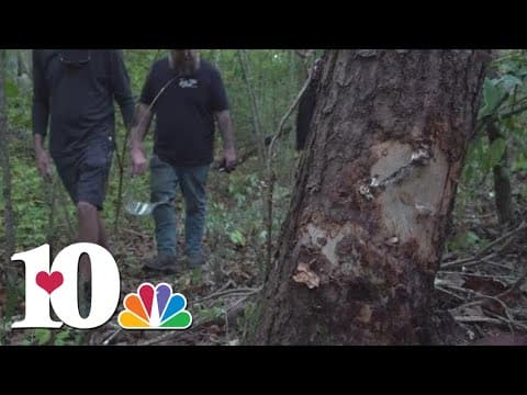 'I knew he was out there' | Friends find motorcyclist who spent two days in a ditch after crash