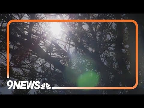 Experts warn hot temps can be deadly for Alzheimer's patients