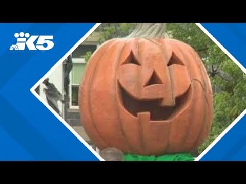 Local things to do in western Washington during the first full weekend of fall