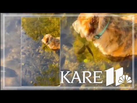 Your Good News: Katy Hubbard, Amy Yunger, Cathy Friske