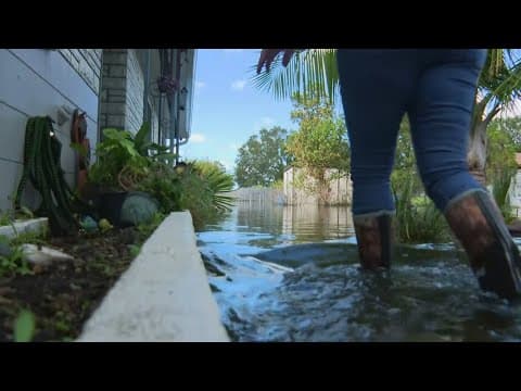 Lakeland flood report released nearly a year after Hurricane Milton devastated neighborhoods