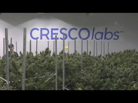 Issue 2 and the divide over tax revenue