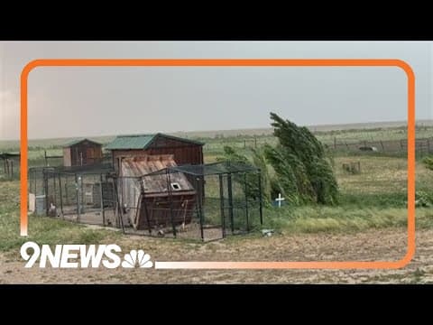 Bennett rooster sanctuary withstands another storm's fierce winds