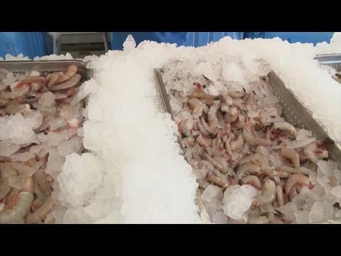 Gulf shrimp season reopens after closing in May