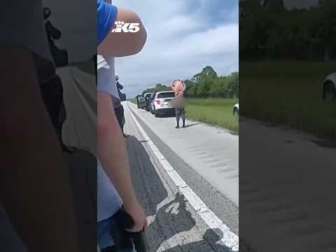 New video shows arrest of man accused of attempted Trump assassination in Florida