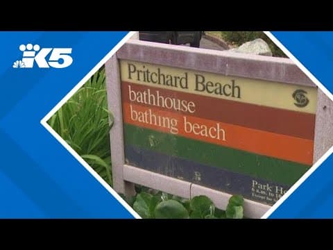 Police pull suspect out of Lake Washington after he shot at officers and fled into water