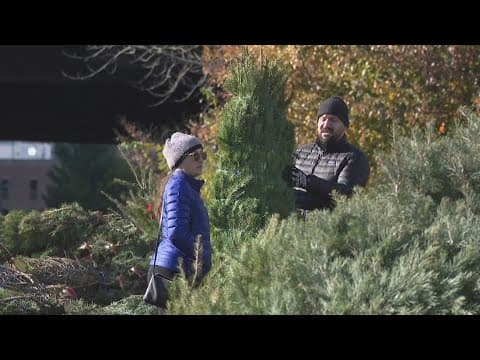 Hundreds help Alexandria Police Department sell Christmas trees for kids