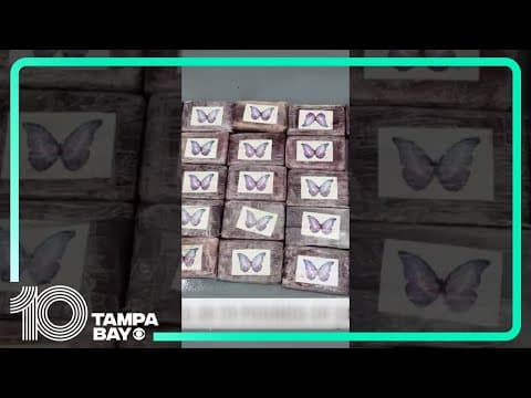 Tampa mayor reels in 70 pounds of cocaine during #Florida Keys fishing trip #shorts