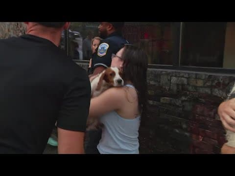 DC Council members want to know more about how 911 handled the flash flood that left 10 dogs dead in