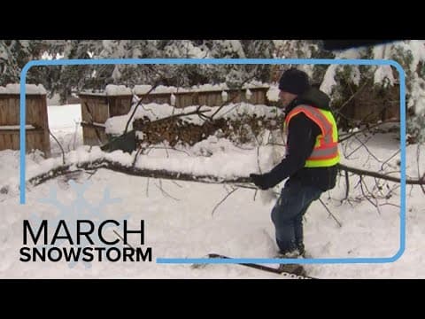 9NEWS reporter helps family clear snow