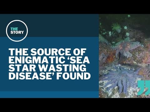 Cause of mystery disease that wiped out billions of Pacific sea stars now pinpointed