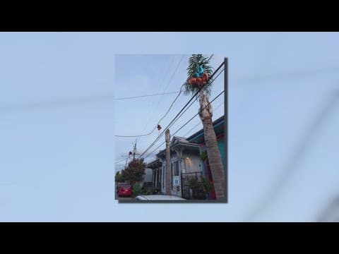 Entergy: Mylar balloons caused Aug. 9 outage in New Orleans