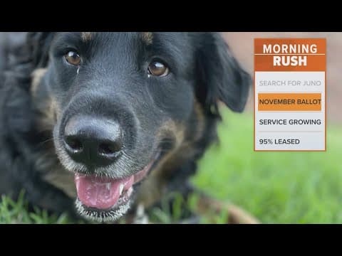 Popular dog sitter app loses North Texas dog