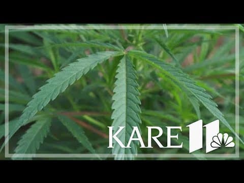 Status of marijuana and gun control bills at State Capitol