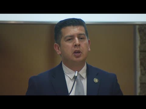 Assemblymember David Alvarez addresses district in first townhall