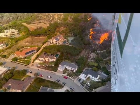 Wildfires will have lasting impacts on the environment