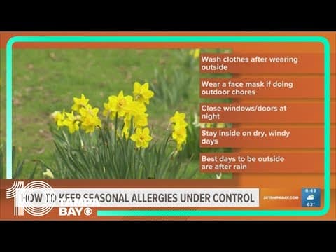 How to keep your seasonal allergies under control